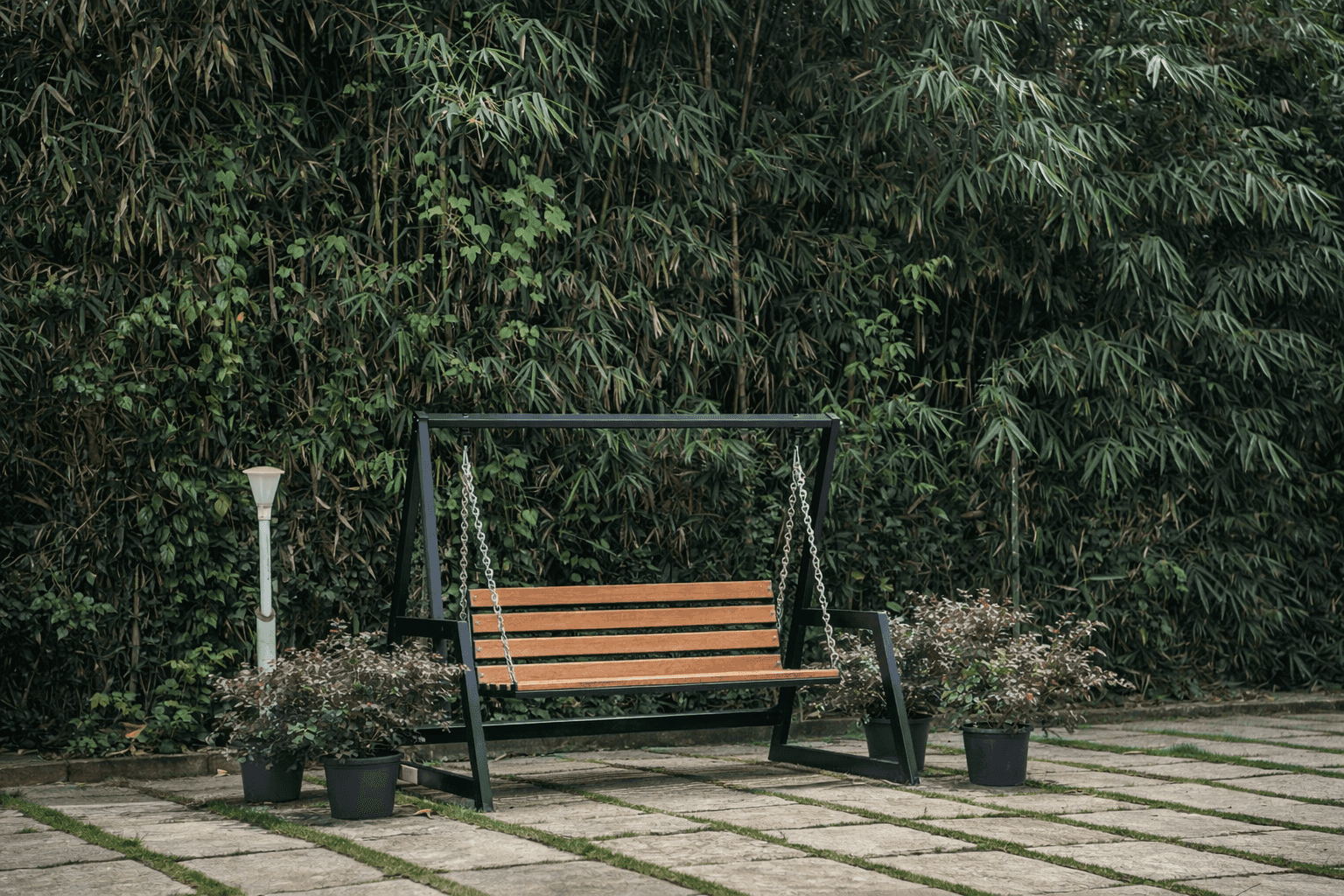 Outdoor scenic surroundings of Wayanad Brook Valley