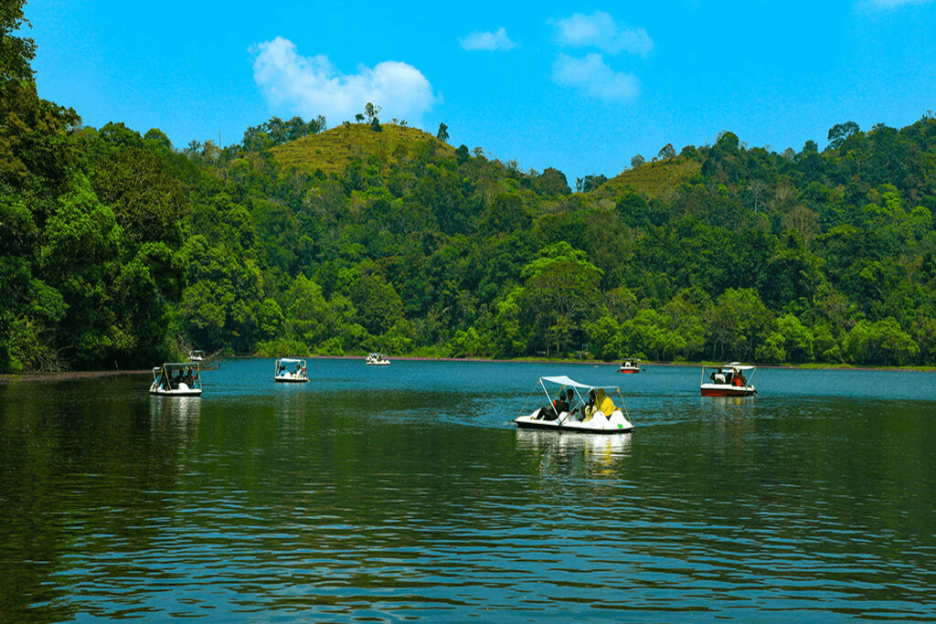 Scenic view of Pookode Lake surrounded by forests