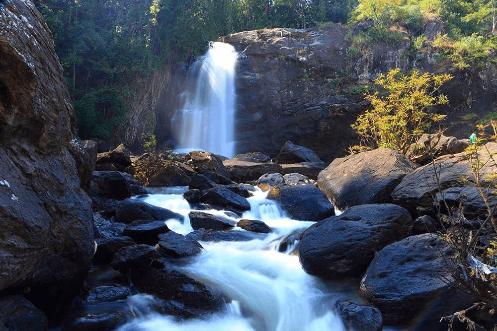 Marvelous Soochipara Falls in the middle of tea estates